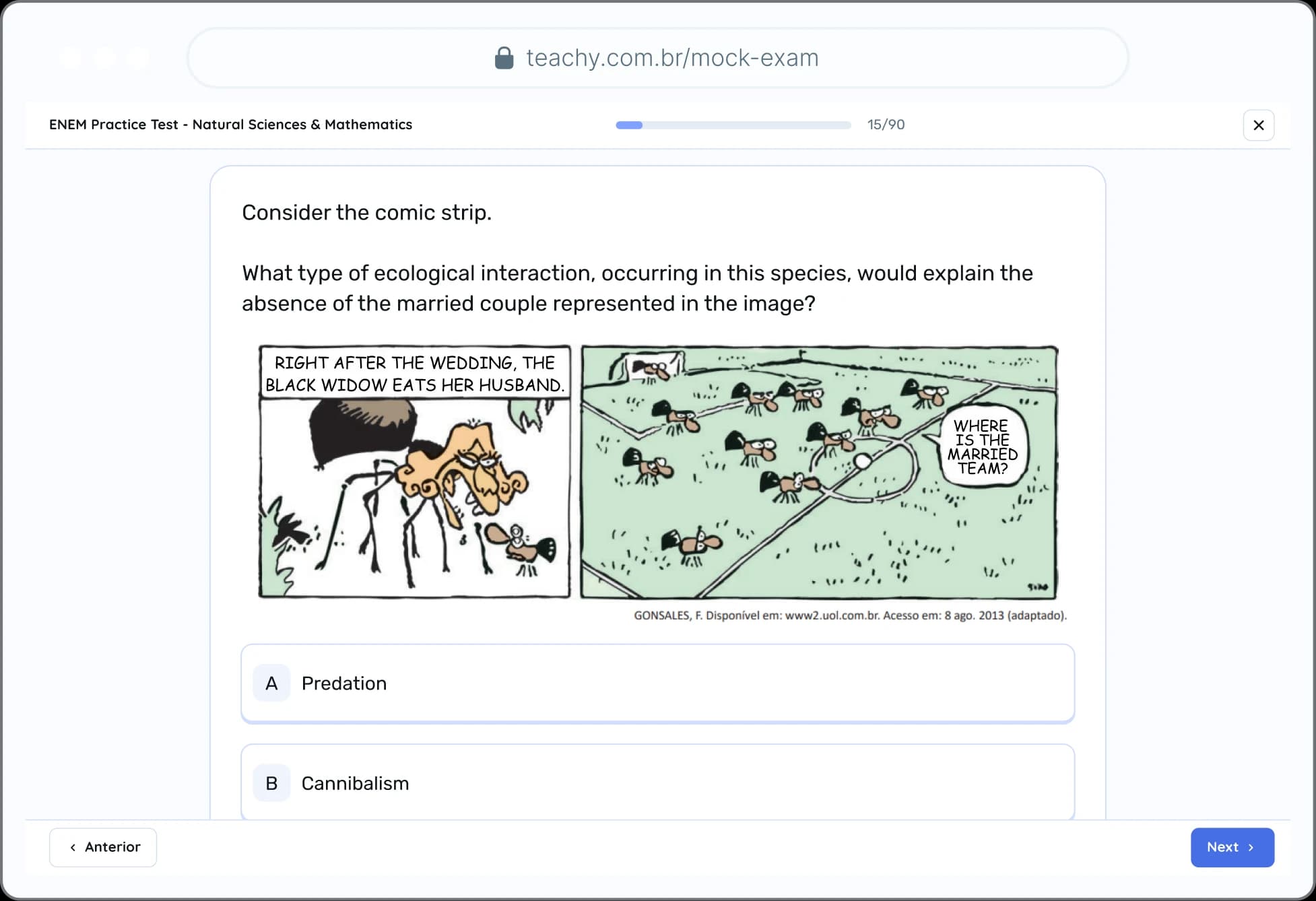 Complete practice tests with grading and performance