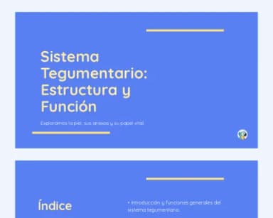 Sistema Tegumentario: Estructura y Función