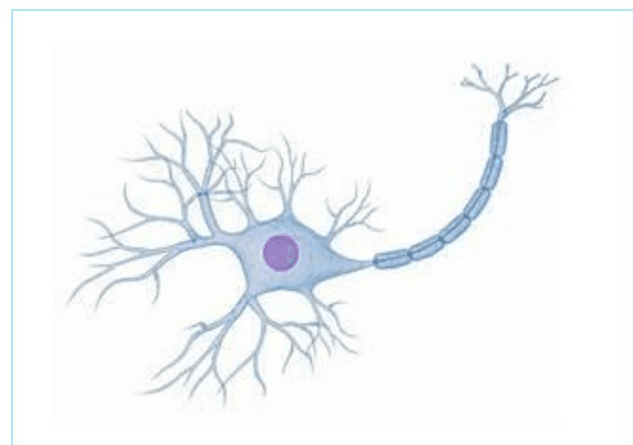 Question illustration